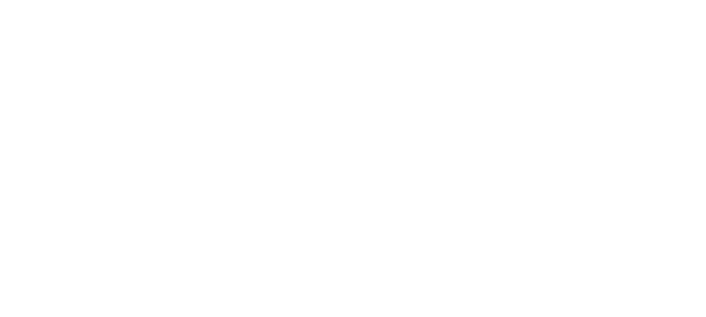 Zavio